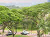 NUS view from library to harbour.jpg (496404 byte)